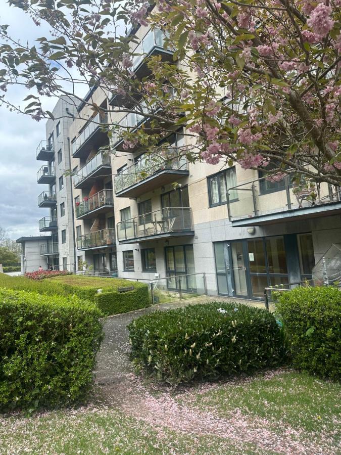 Spacious Room With Relaxing View Dublin Exteriör bild